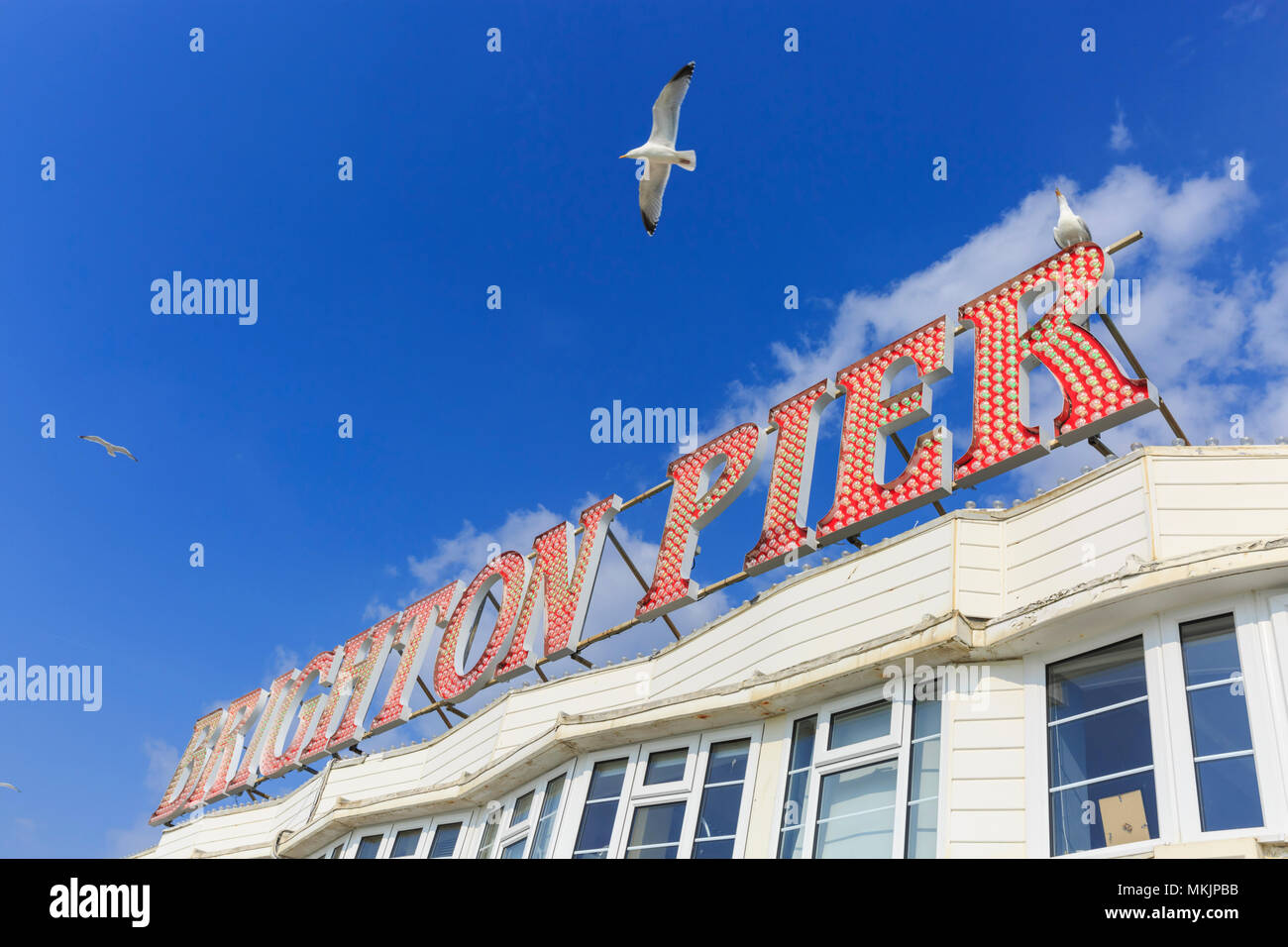 Brighton, East Sussex, 8th May 2018. Sesagulls circle the iconic illuminated Brighton Pier sign. Another beautifully sunny and warm afternoon in the seaside town of Brighton in East Sussex may have been the last for a while, as the weather is forecast to turn cooler and cloudier in the coming days. Credit: Imageplotter News and Sports/Alamy Live News Stock Photo