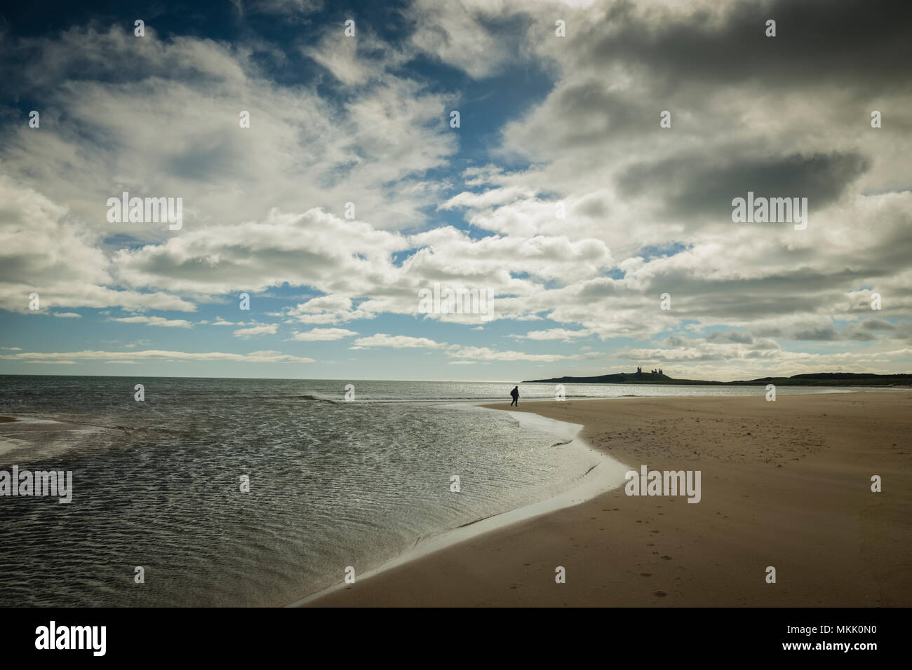 Alone on the beach at Embleton Bay, Northumberland, UK Stock Photo - Alamy