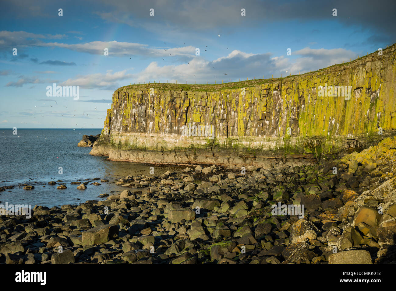 Sea cliffs at Dunstanburgh Castle, Northumberland, UK. Stock Photo