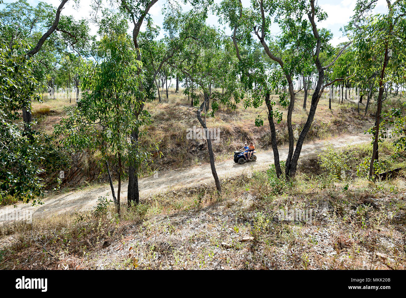 Couple riding a quadbike through the wilderness, near Maytown, Far North Queensland, FNQ, QLD, Australia Stock Photo