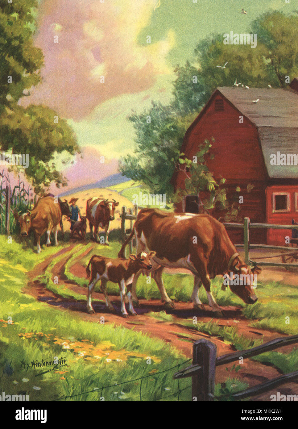 Back cows hi-res stock photography and images - Alamy
