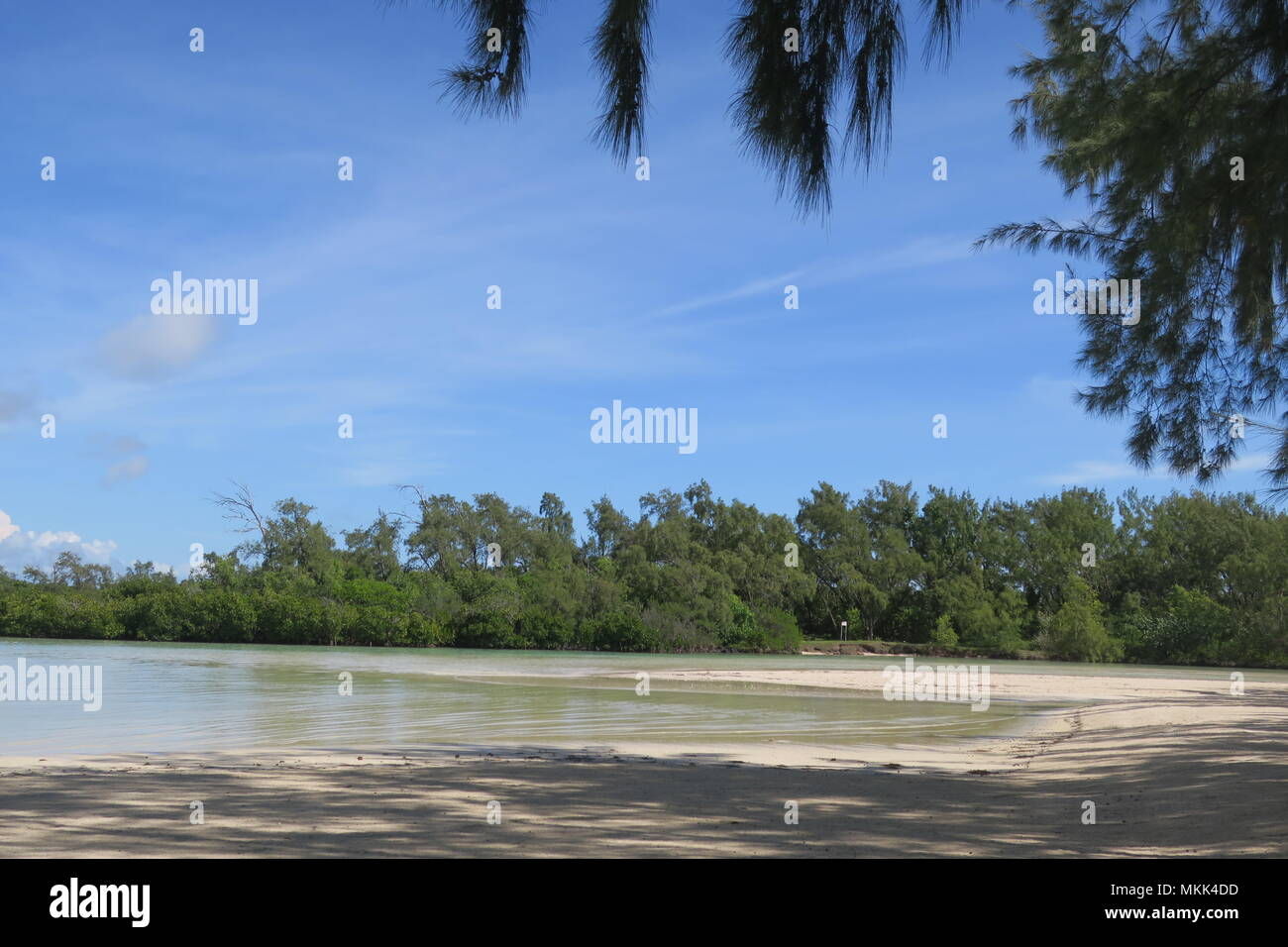 Charming coastline of Indian ocean at Mauritius island Stock Photo - Alamy