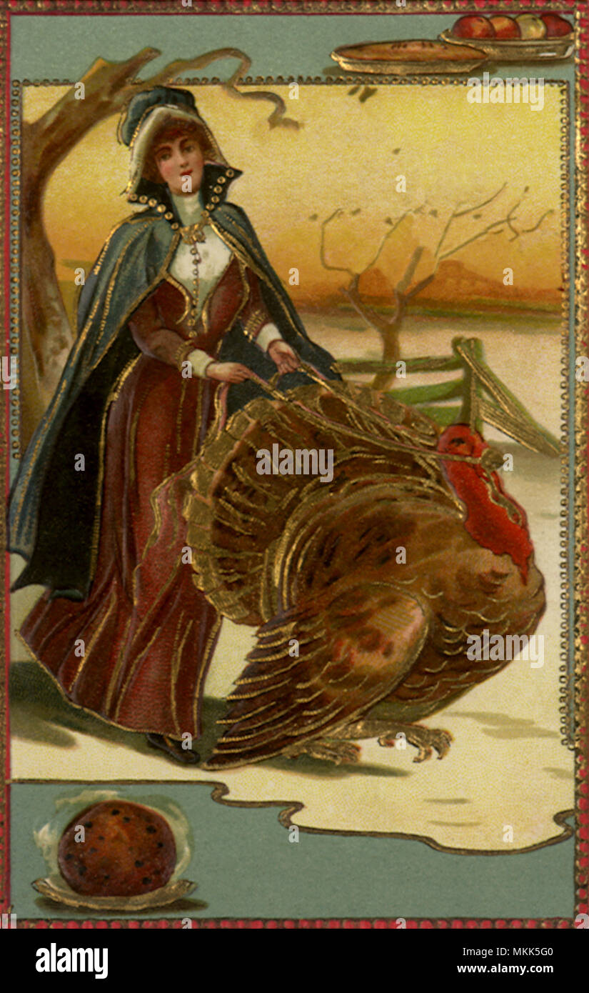Lady with Reined Turkey Stock Photo