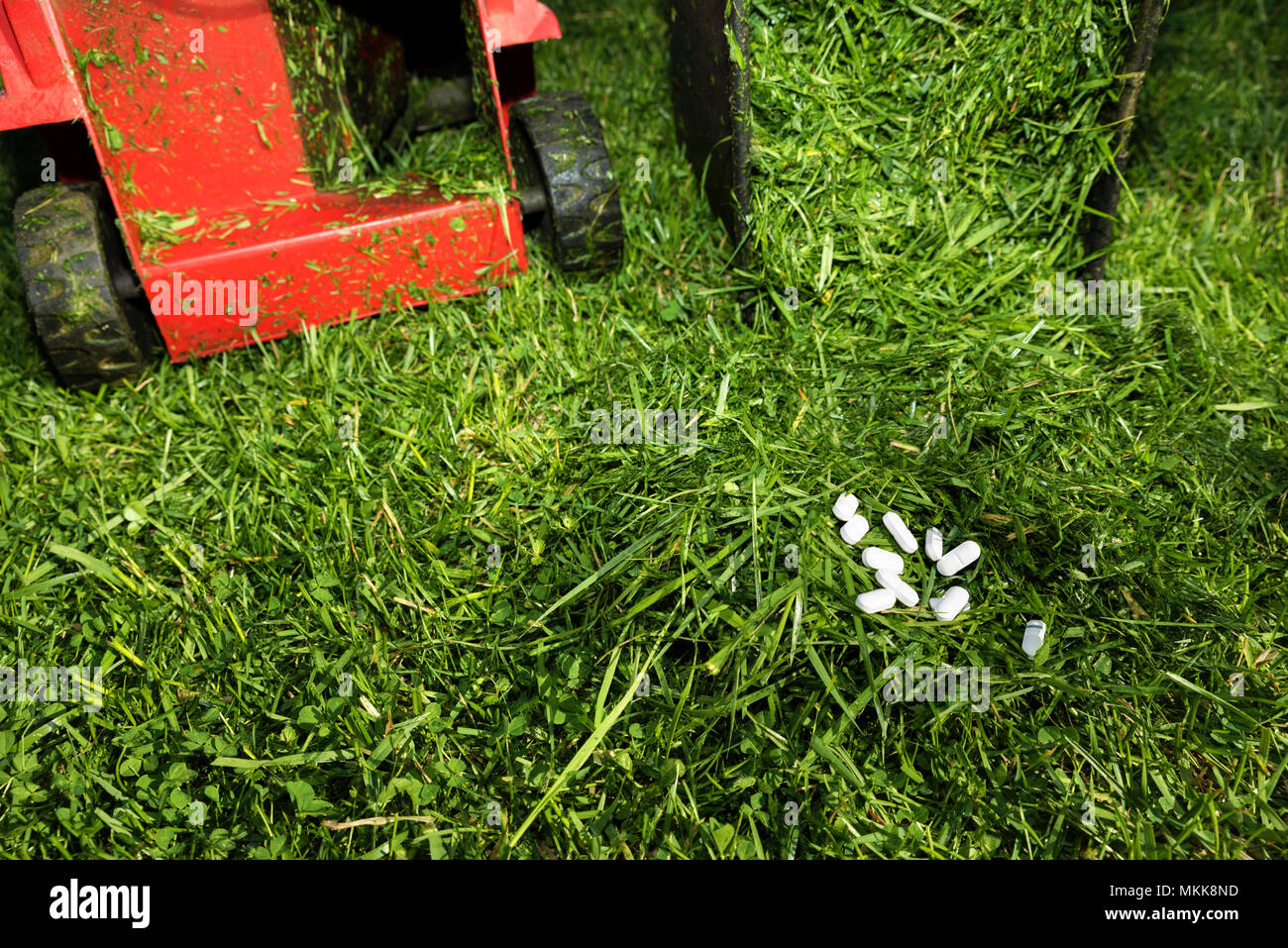 Conceptual image for hay fever Stock Photo Alamy