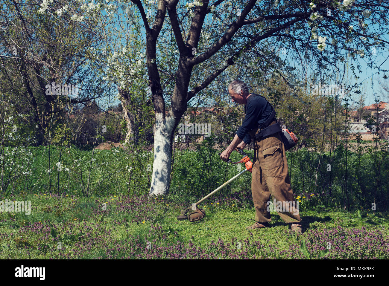 Man Cutting Grass High Resolution Stock Photography and Images Alamy