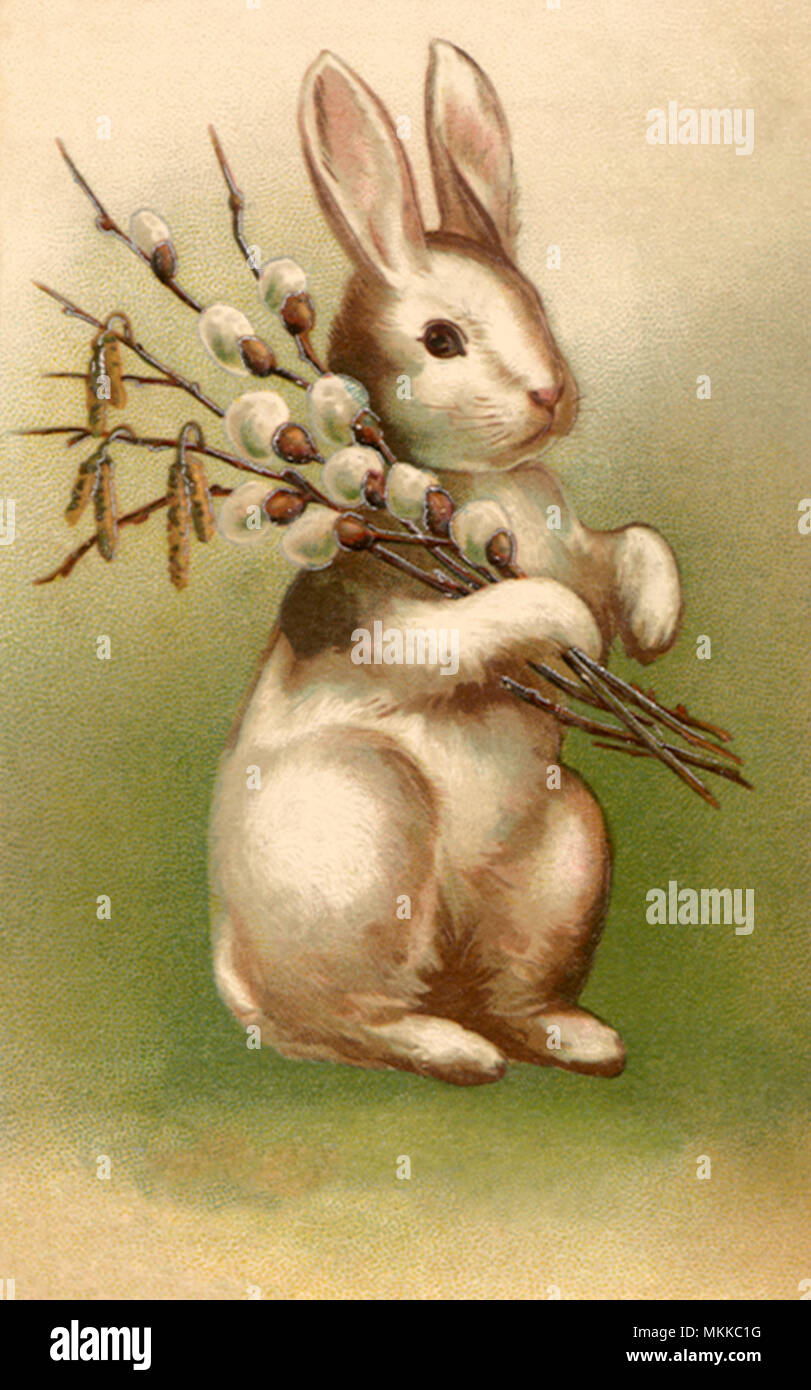 Easter Rabbit with Willow Stock Photo Alamy
