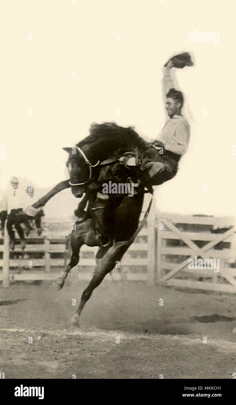 Bronco hi-res stock photography and images - Alamy