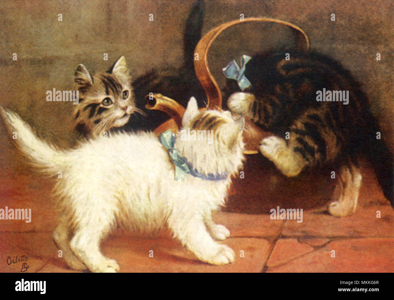 Kittens and Teapot Stock Photo Alamy