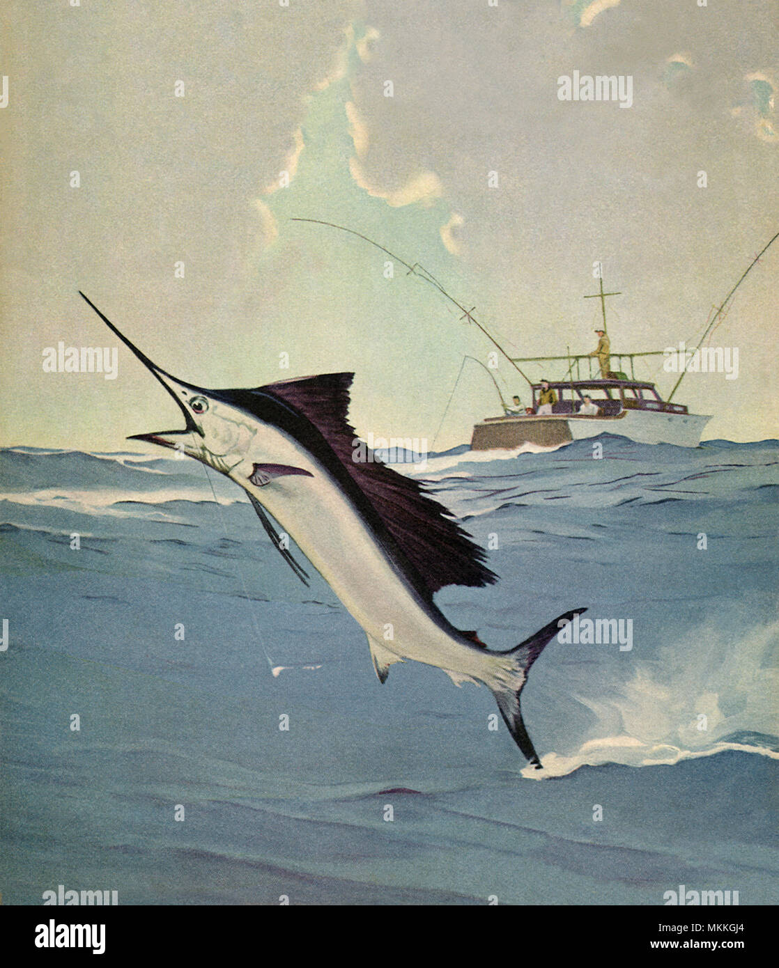 Marlin fishing game hi-res stock photography and images - Alamy