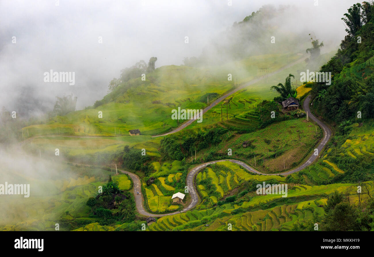 View to YTY rice terrace, LaoCai,VietNam Stock Photo