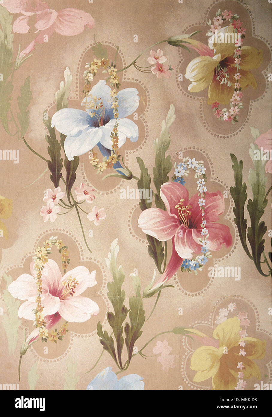 Five large flowers - two yellow, two pink and a light blue Stock Photo