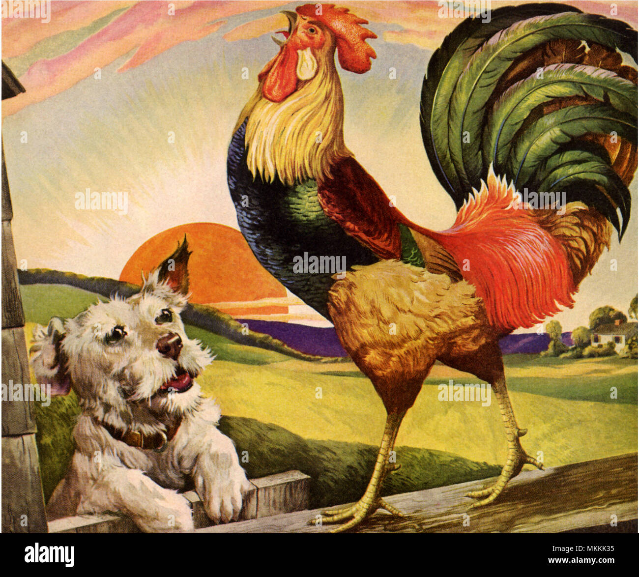 Crowing rooster hires stock photography and images Alamy