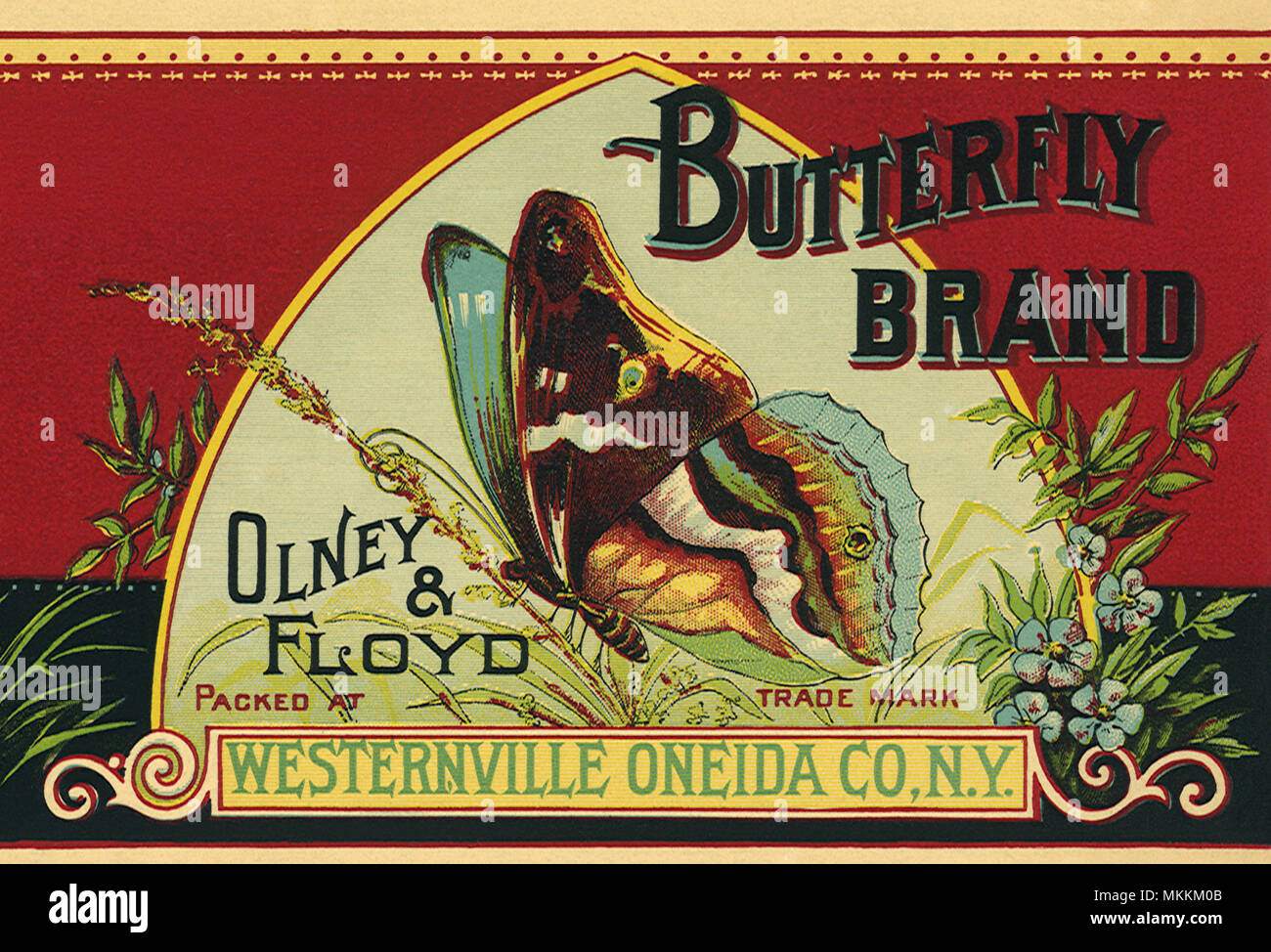 Butterfly Brand Label Stock Photo Alamy