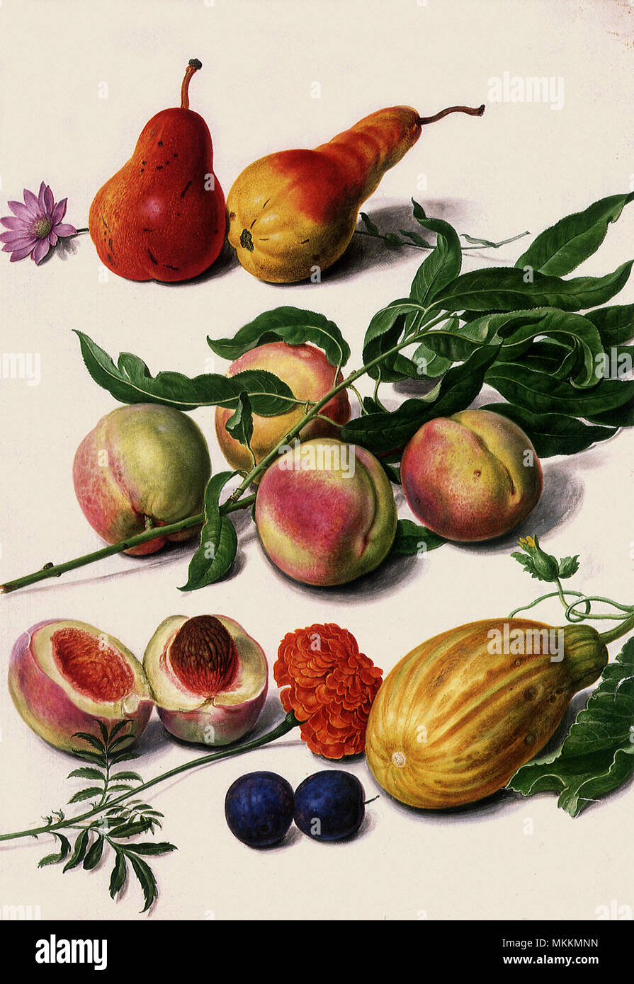 Pears, Peaches, Plums Stock Photo Alamy