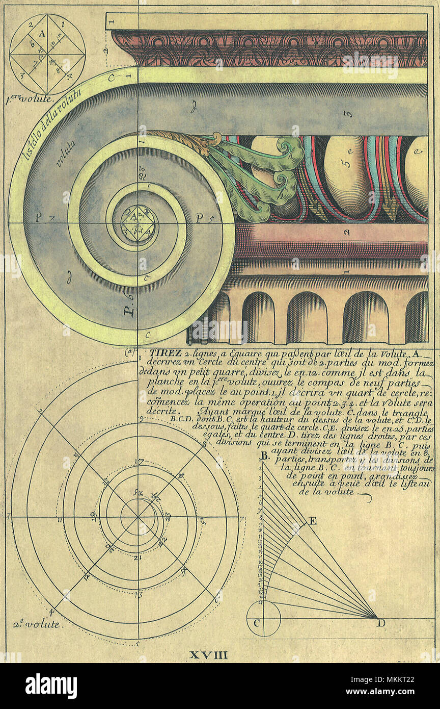 Capital Volute Stock Photo Alamy