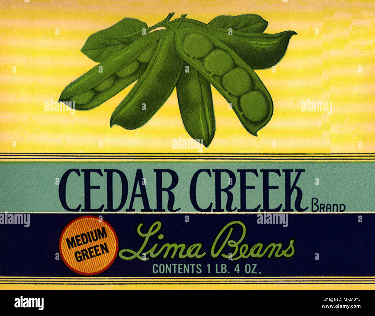 Lima Bean Ad Stock Photo