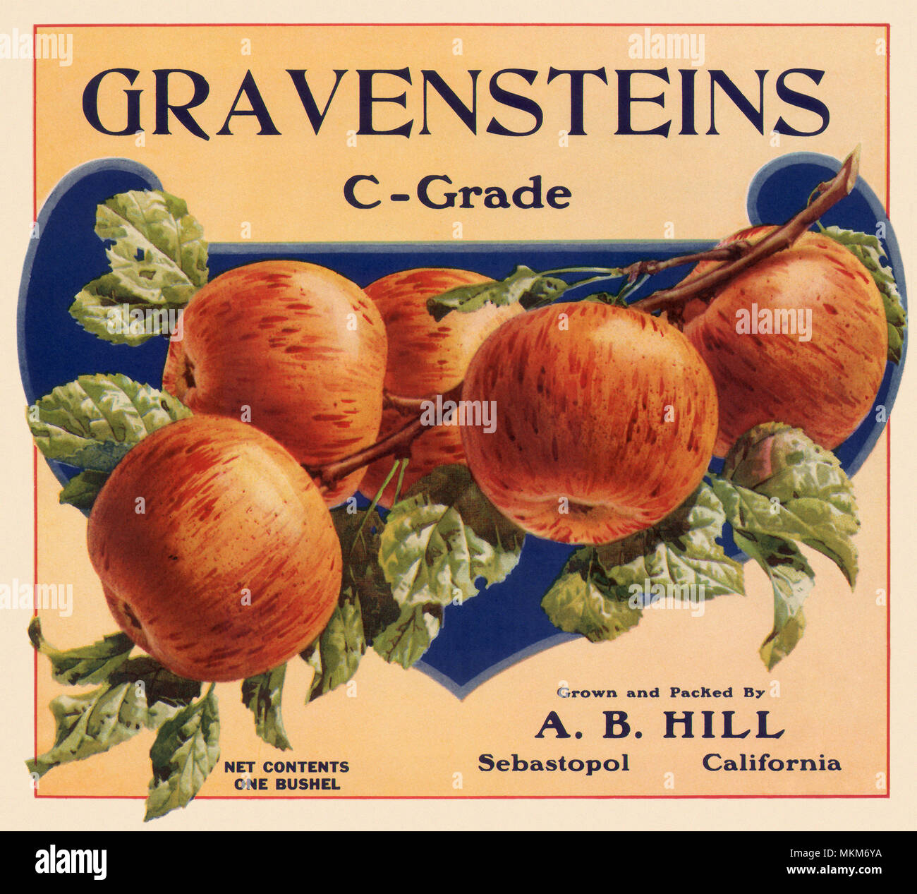 Gravenstein Label Stock Photo