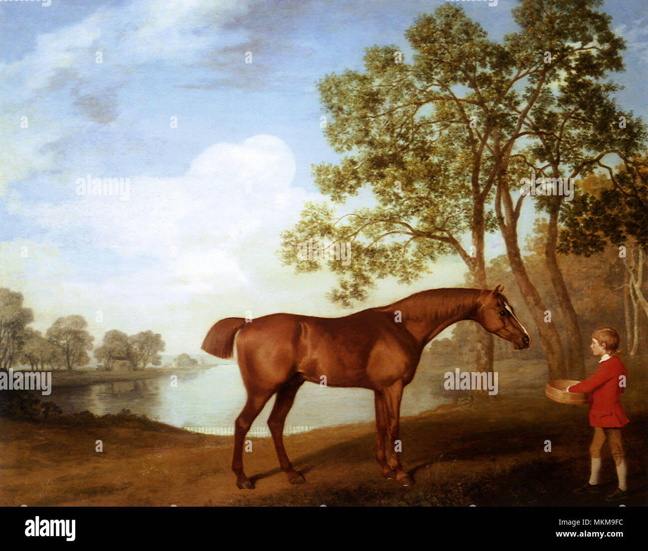 Horse with Stable Boy Stock Photo Alamy