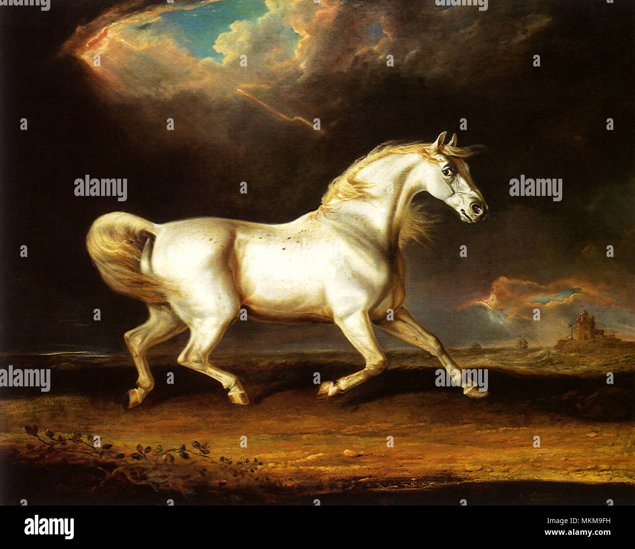 Horse lightning hires stock photography and images Alamy