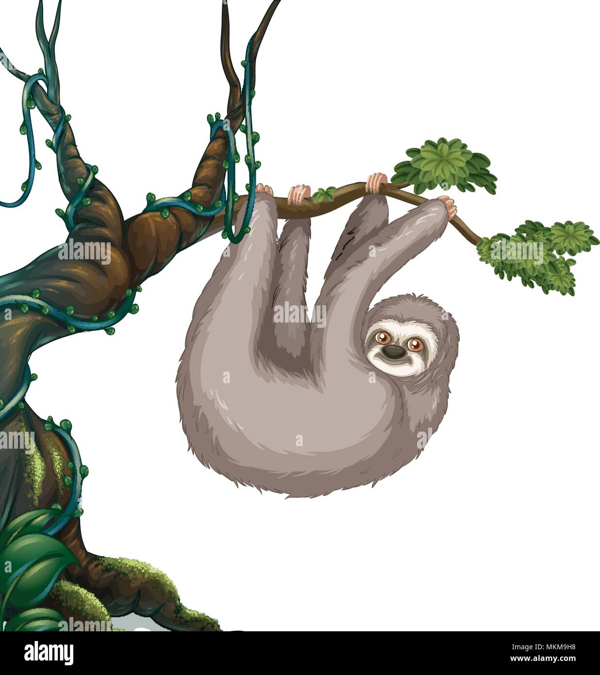 Sloth hanging on the tree illustration Stock Vector Image & Art Alamy