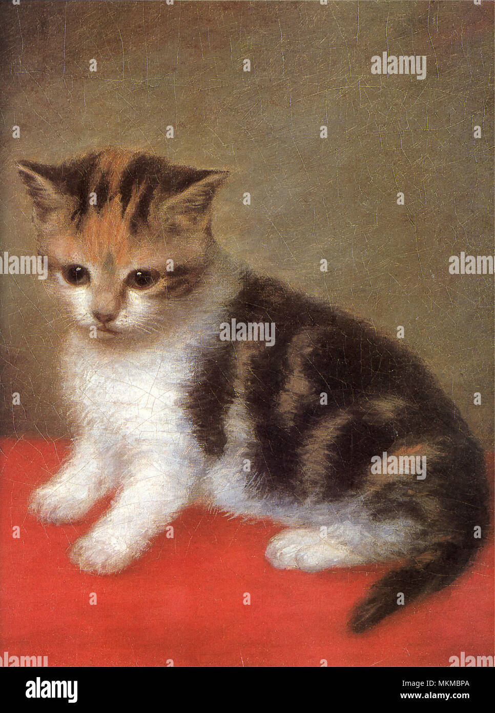 Miss white’s kitten hires stock photography and images Alamy