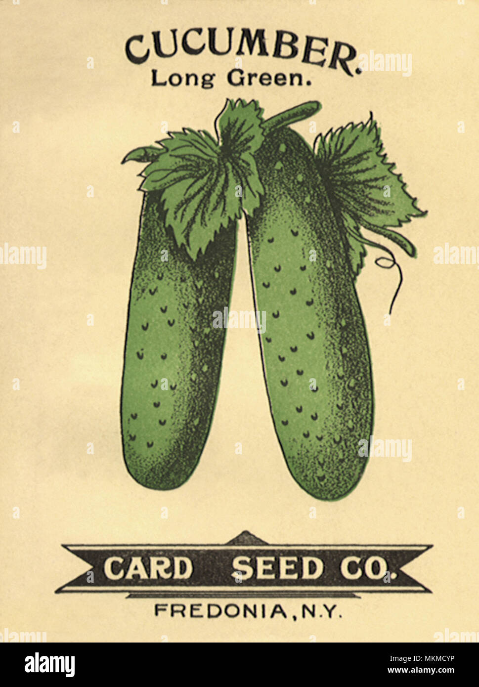 Cucumber Seed Packet Stock Photo Alamy