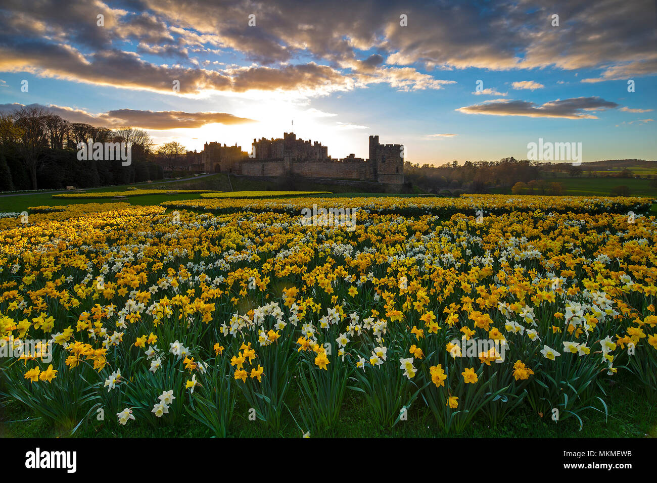 Spring castle hi-res stock photography and images - Alamy