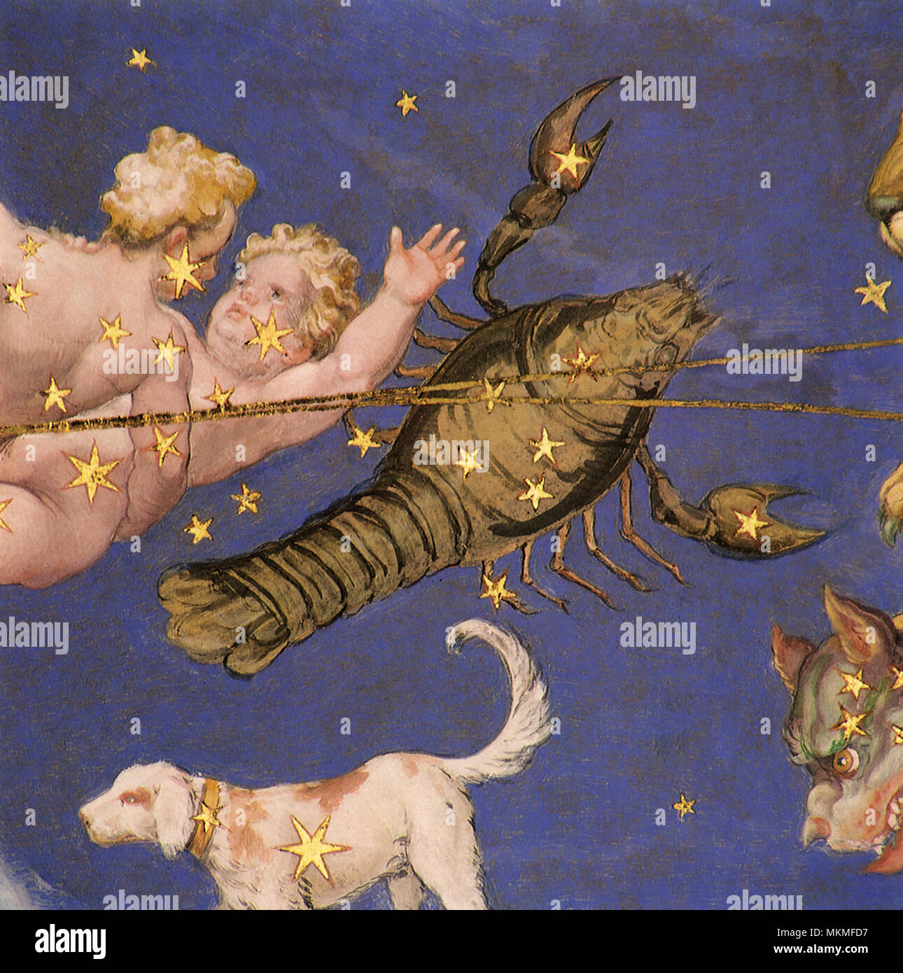 Constellations of hercules hi-res stock photography and images - Alamy