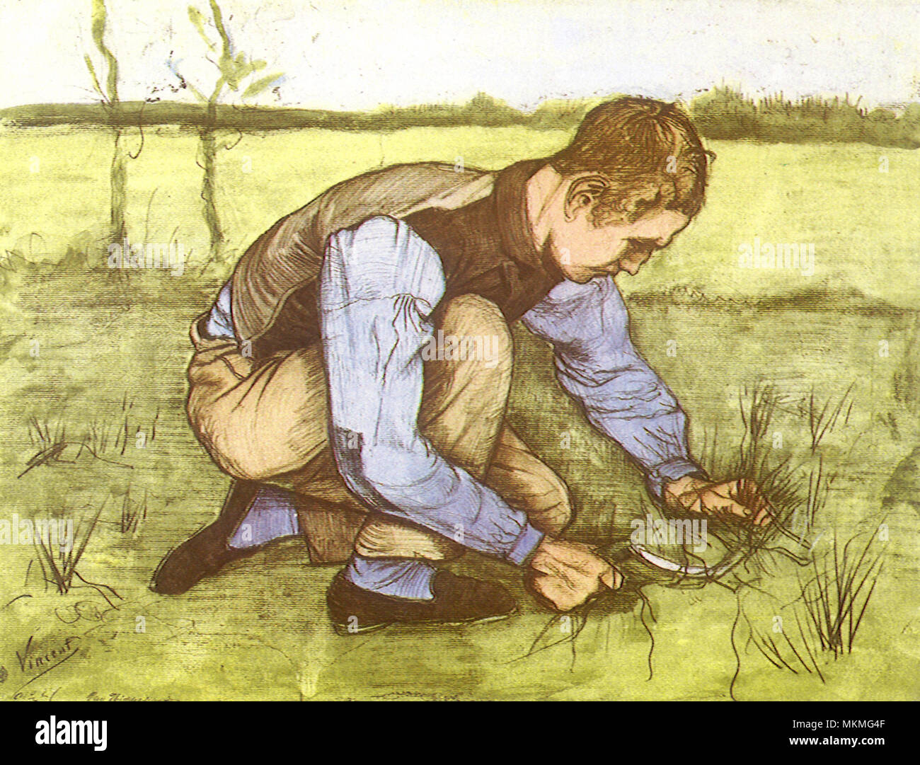 Cutting Grass with Sickle Stock Photo Alamy