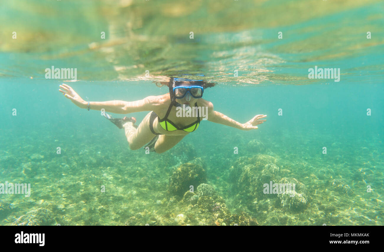 Woman snorkelling over floor of tropical sea  Stock Photo