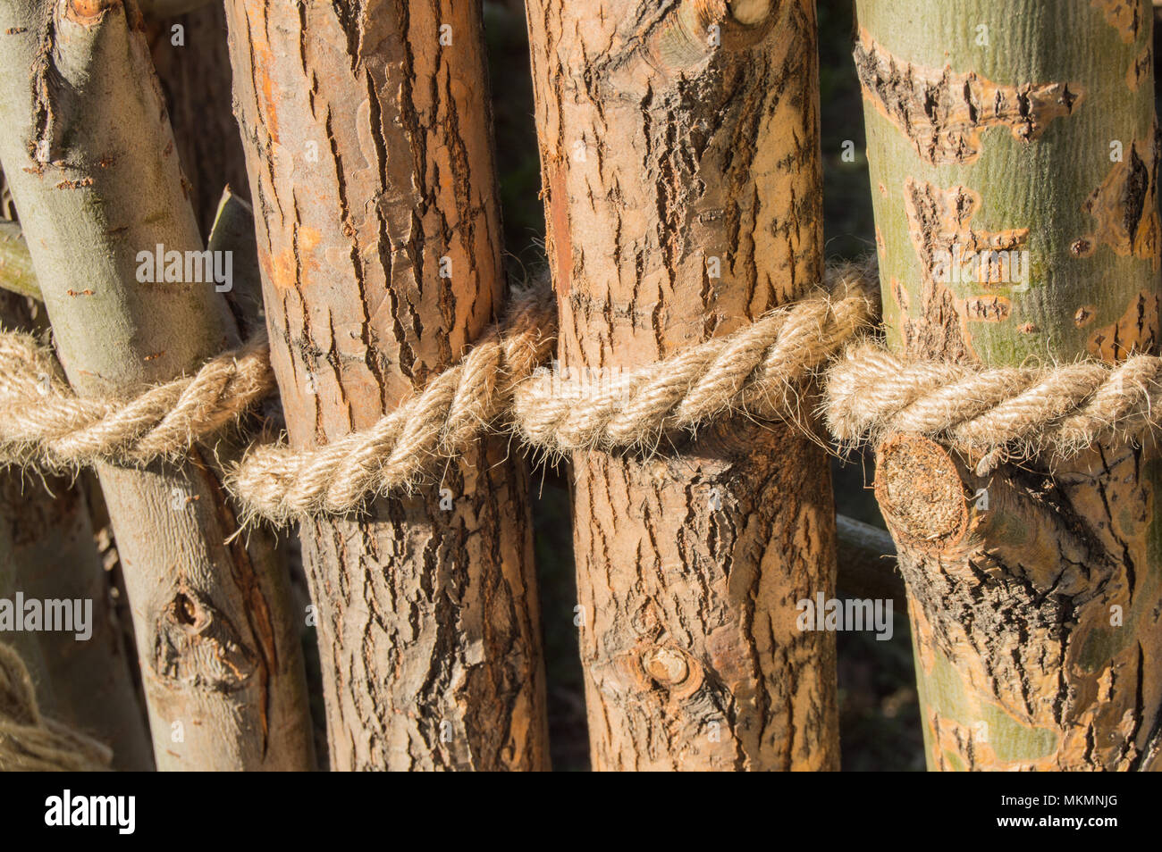 Rope tied in a knot around wooden poles, fence posts. Closeup Stock