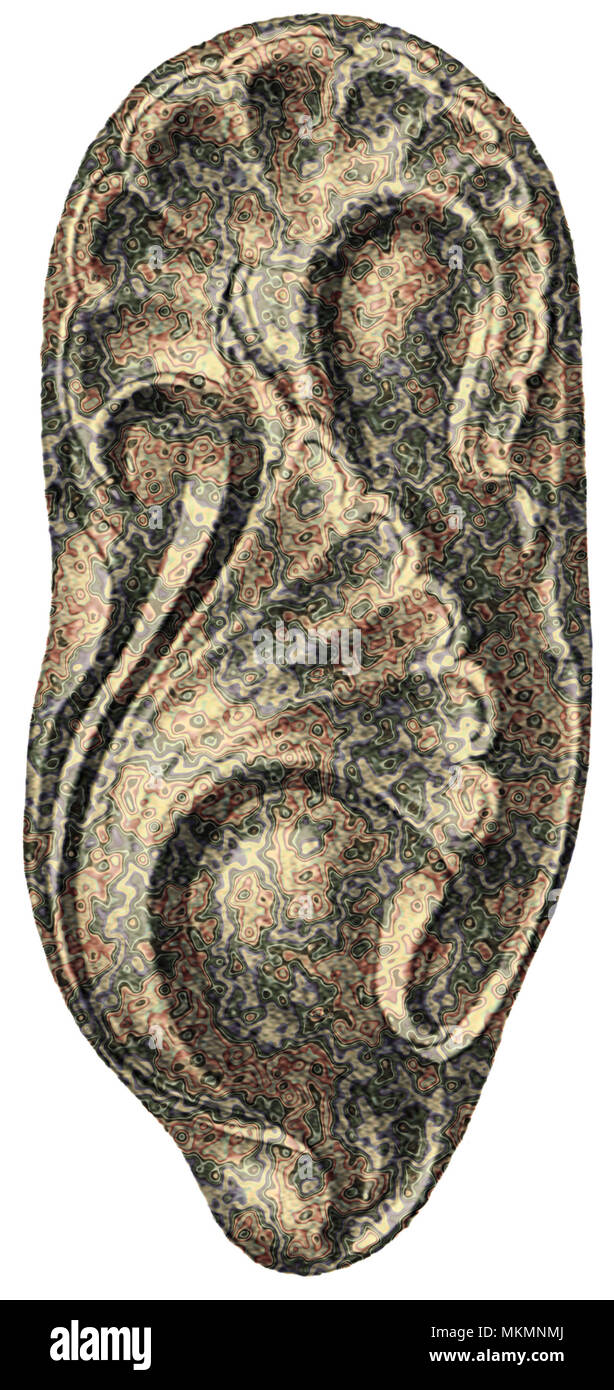 Fan shaped leaves hires stock photography and images Alamy