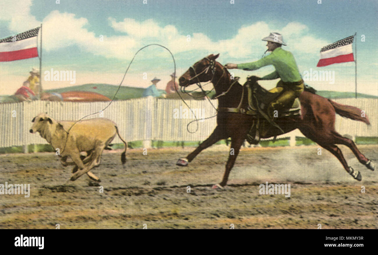 Cowboy Ropes Calf Stock Photo - Alamy