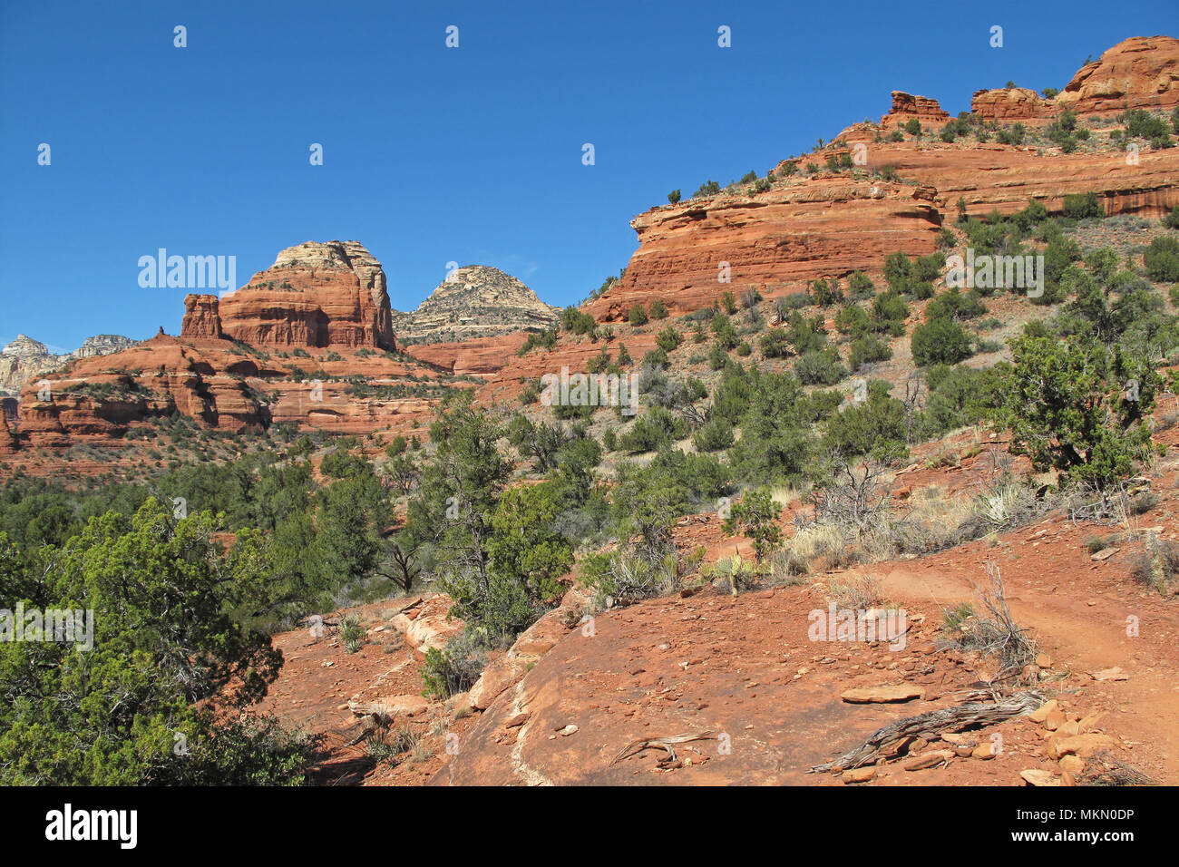 Famous Red Rock landscape, Sedona, Arizona, USA. Stock Photo
