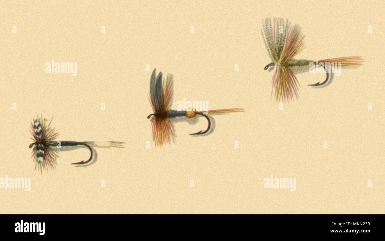 Dry flies hi-res stock photography and images - Alamy