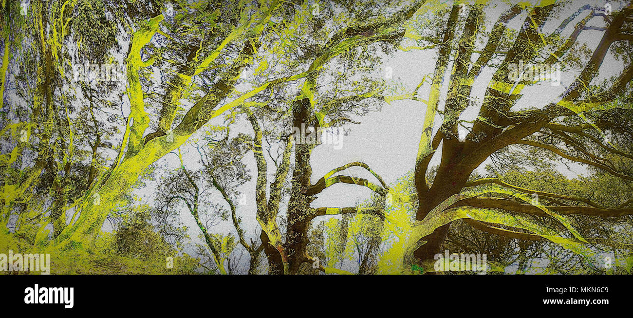 DIGITAL ART: Coastal Springtime - Forest scene along Devon coast near ...