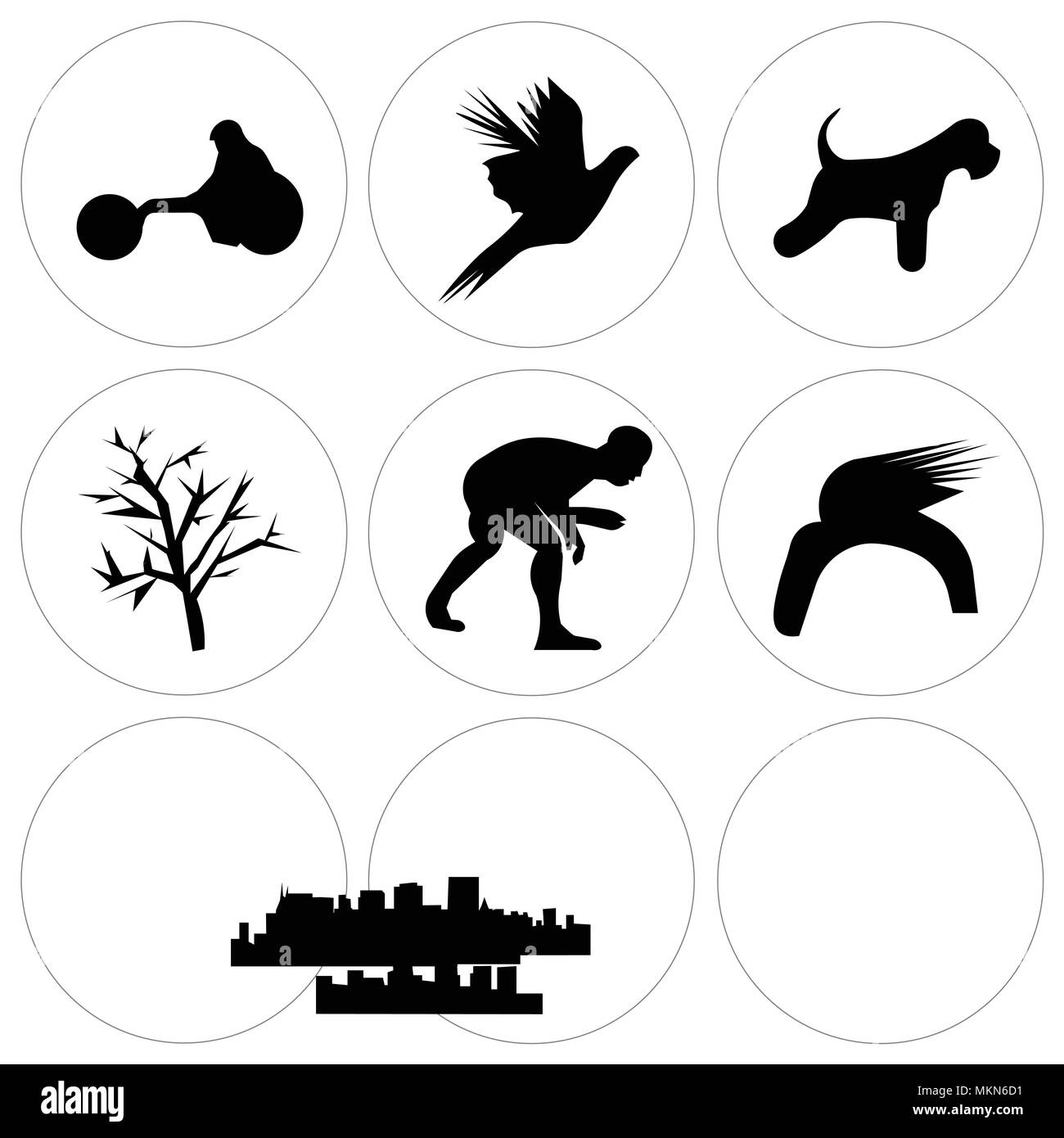 Set Of 9 simple editable icons such as donald trump hair, edmonton sky, wrestling, mesquite tree, miniature schnauzer, flying pheasant, charleston fre Stock Vector