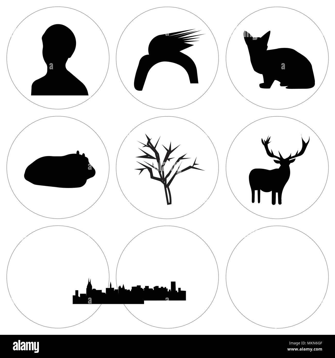 Set Of 9 simple editable icons such as free clip art deer, edmonton sky, mesquite tree, guinea pig, nashville buffalo sphynx cat, donald trump hair, f Stock Vector