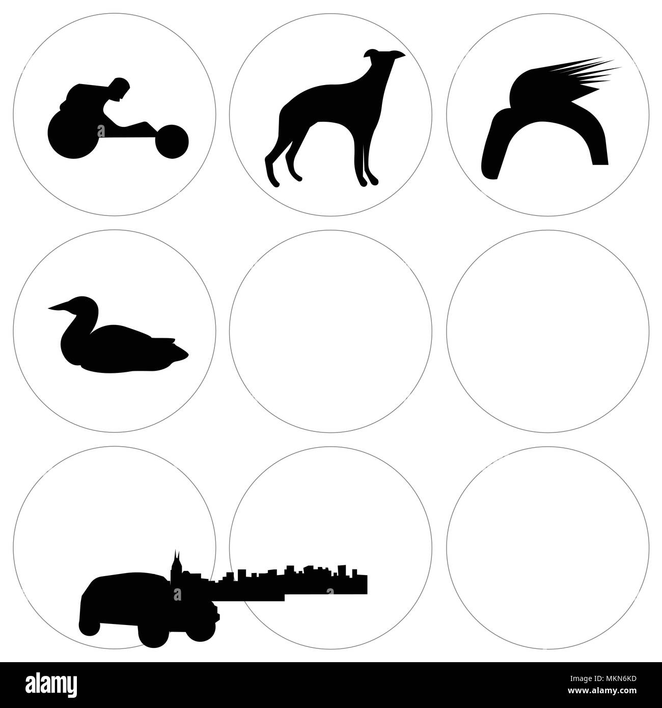 Set Of 9 simple editable icons such as loon, car, donald trump hair, edmonton sky, whippet, pitbull face, free nashville wheelchair racing, cincinnati Stock Vector