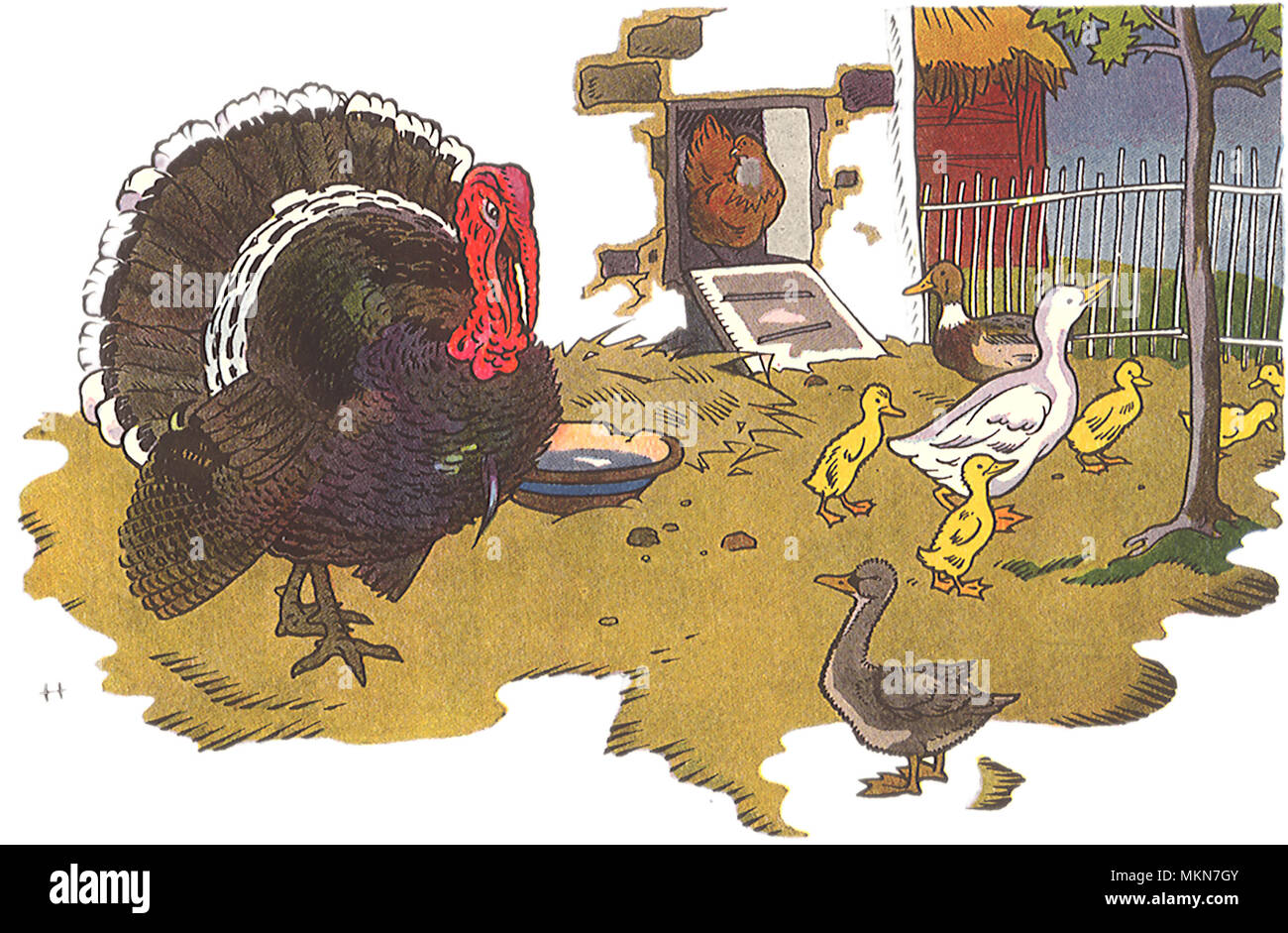 Ugly Duckling Rejected Stock Photo