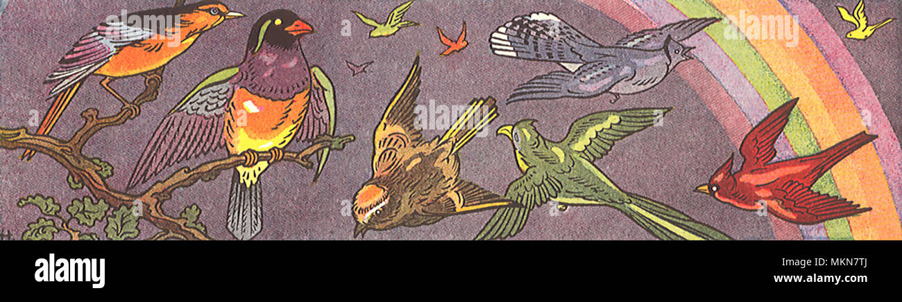 Birds Fly Under Rainbow Stock Photo - Alamy