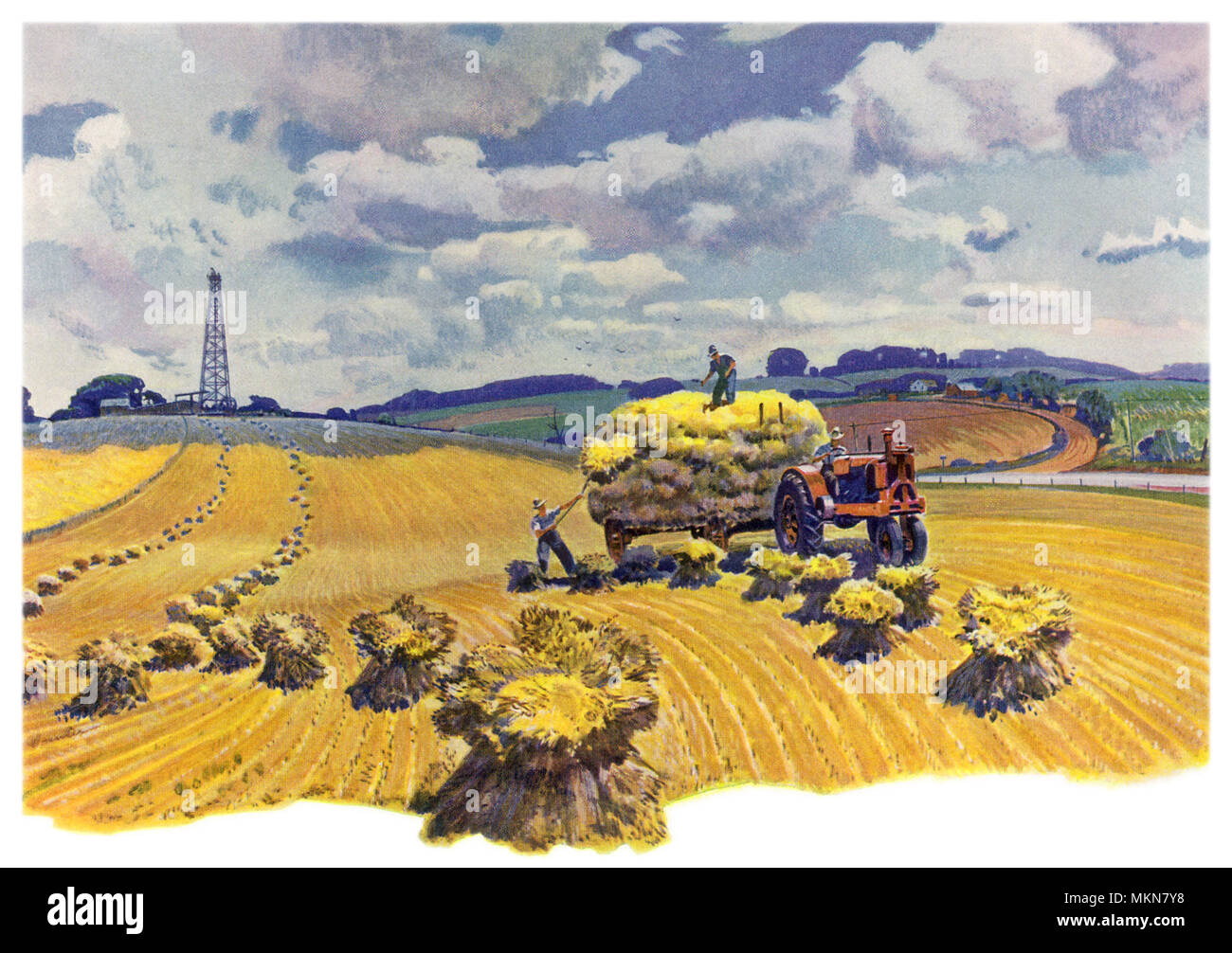 Bringing in the Sheaves Stock Photo Alamy