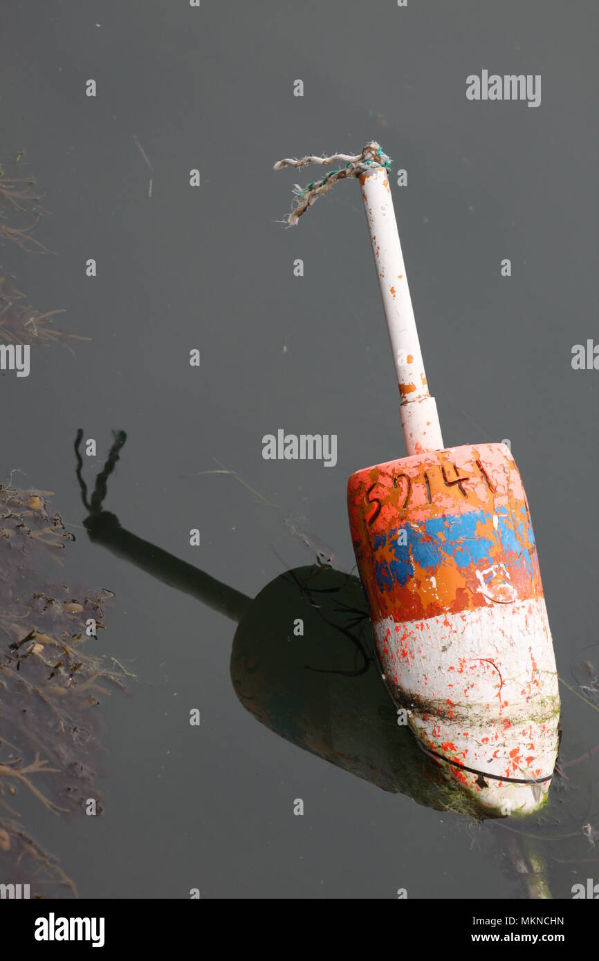 lobster buoy in dirty water Stock Photo Alamy
