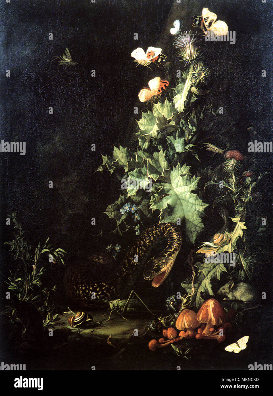 Margaret Delahunty Spencer - Still Life with Snake Lilly #1 main image 0