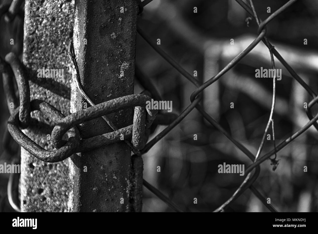 Chain on steel net protect from unauthorized access. Stock Photo