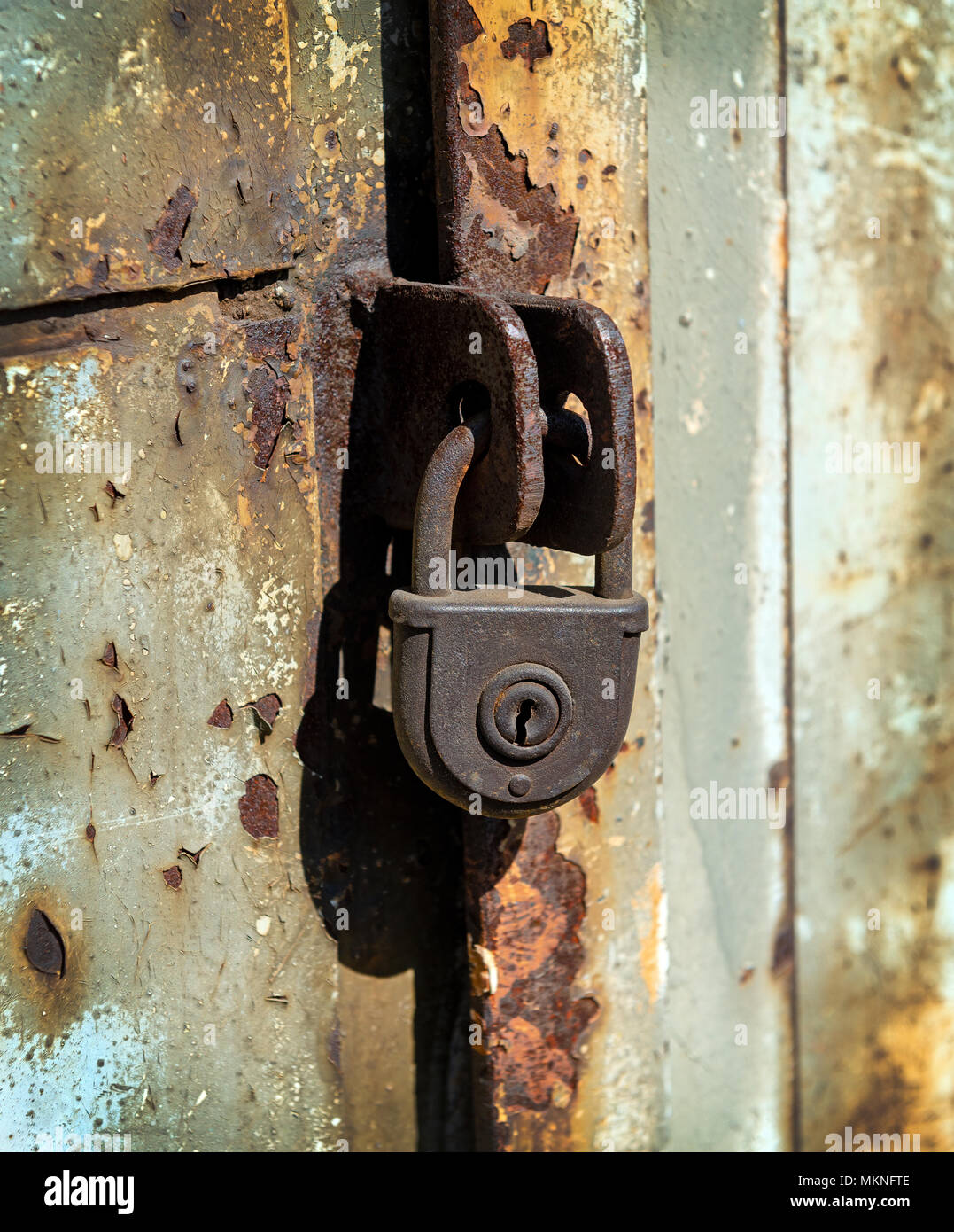 Close up of rusty padlock on old painted metal door Stock Photo