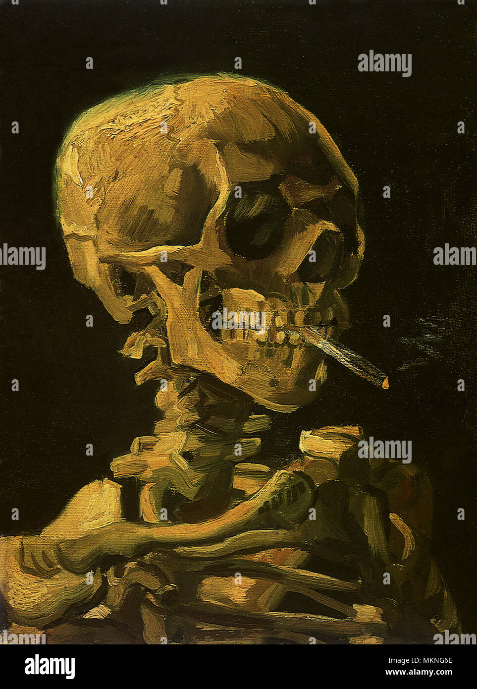 Skull with Cigarette Stock Photo