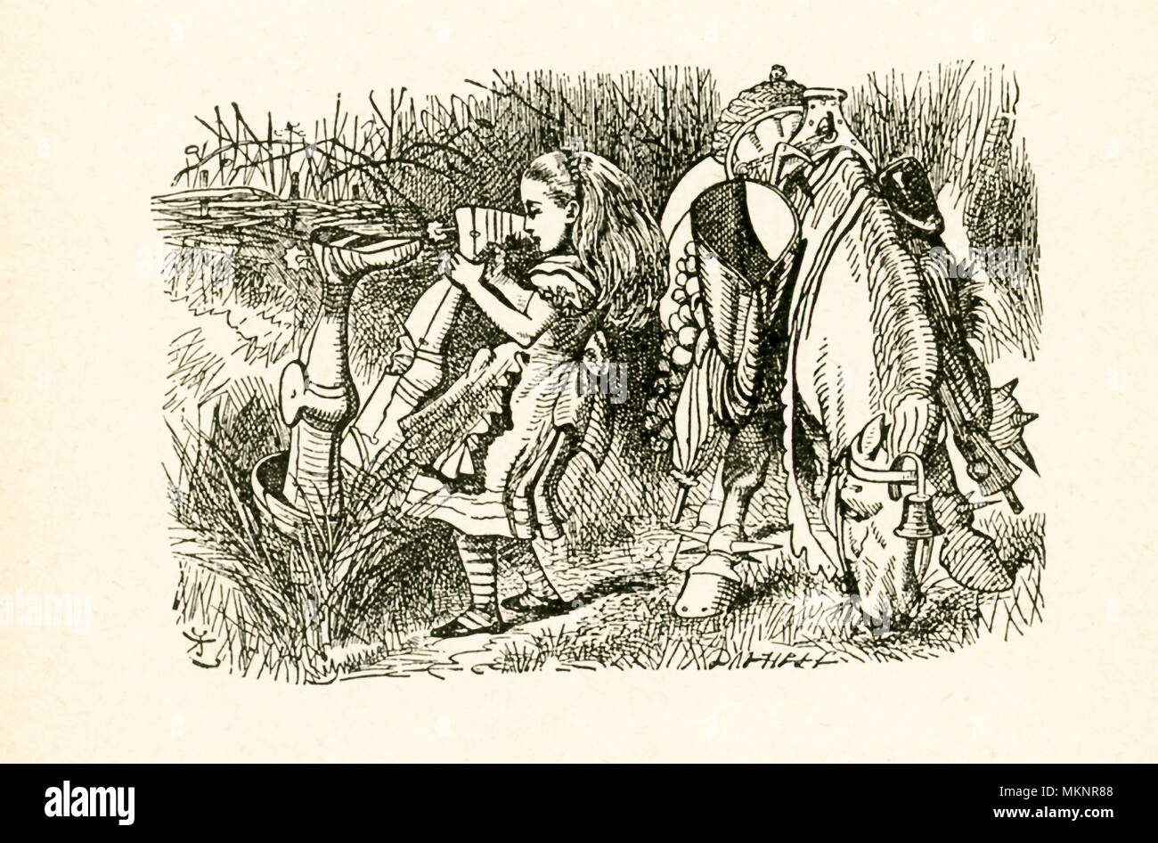 This illustration of Alice and the White Knight with his horse in ditch is from 'Through the Looking-Glass and What Alice Found There' by Lewis Carroll (Charles Lutwidge Dodgson), who wrote this novel in 1871 as a sequel to 'Alice's Adventures in Wonderland.' Here Alice is pulling the White Knight from the ditch. Stock Photo