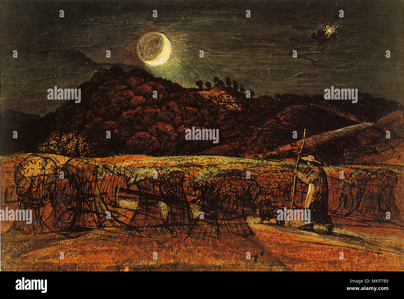 Cornfield by Moonlight with the Evening Star Stock Photo - Alamy
