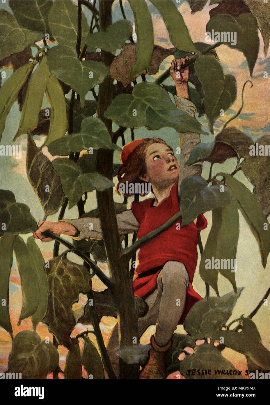 Jack and the Bean Stalk Stock Photo Alamy Jack and the Bean Stalk Stock Photo Alamy